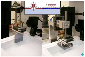Preparation of model membranes for reflectometry studies (courtesy of Giovanna Fragneto)