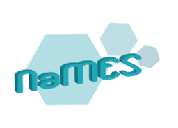 The NaMES' logo - Designed by Nadine Briemle (TUM)