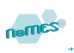 The NaMES' logo